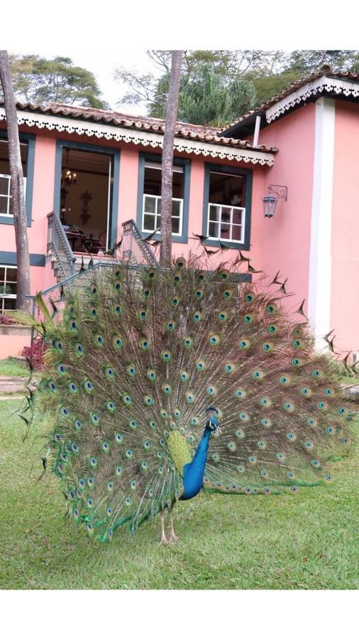 Отель Fazenda Uniao Риу-дас-Флорис Экстерьер фото